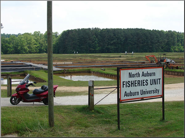 Auburn University Fisheries Unit
