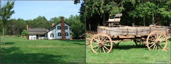 Horne Creek Farm